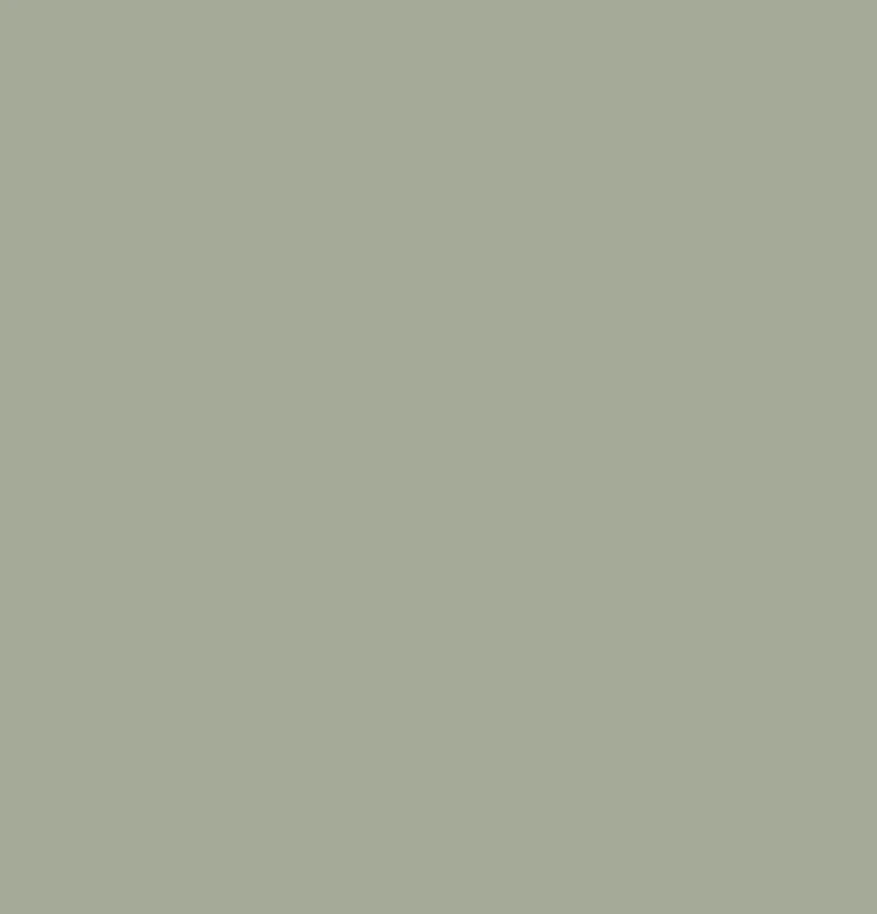 Niaj hnub nimno Solid Colour Blister Zaj duab xis: Ib qho kev daws teeb meem tshiab