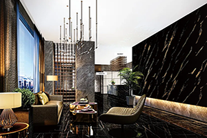 Kho Kom Zoo Nkauj Marble Qauv Pvc / Tsiaj Zaj Duab Xis