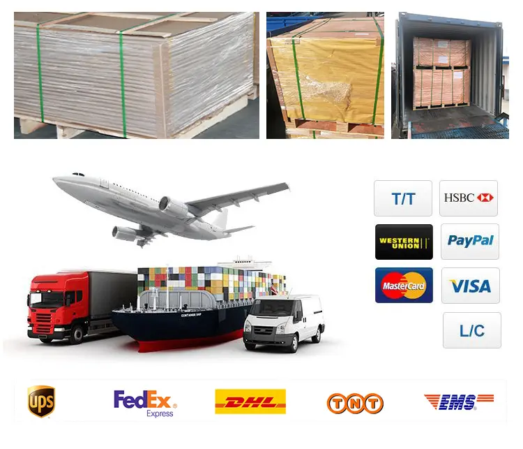 Heat Pet Film Rolls Polyester Pet Composite