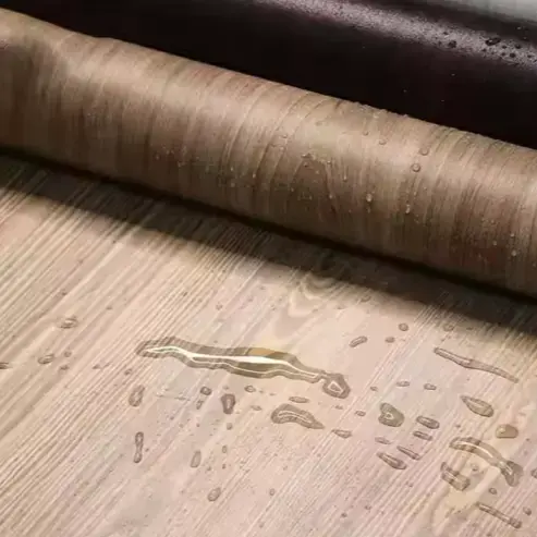 Waterproof Transparent PVC Rooj Tog Zaum Zaj Duab Xis